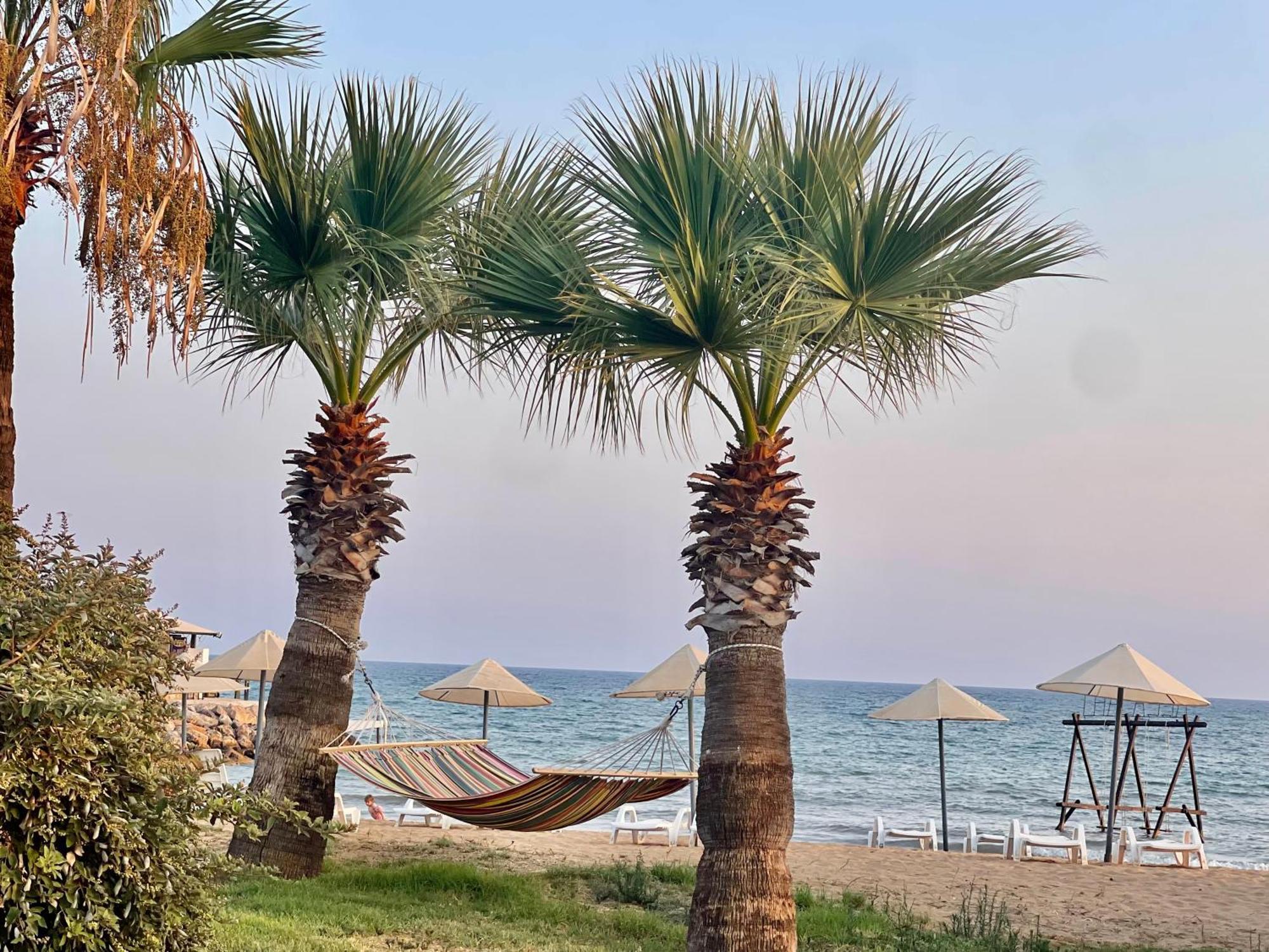 Relaxing Penthouse Suites By The Sea Vokolidha Luaran gambar